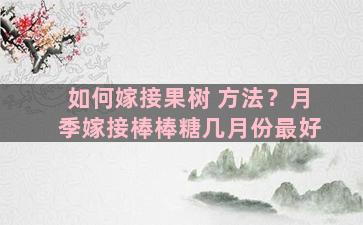 如何嫁接果树 方法？月季嫁接棒棒糖几月份最好